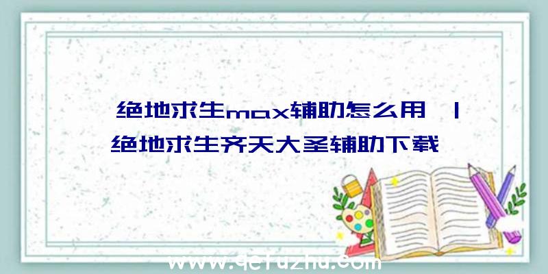 「绝地求生max辅助怎么用」|绝地求生齐天大圣辅助下载